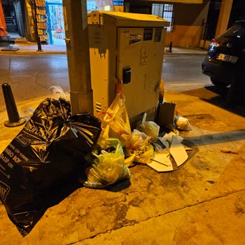 Kapı Önünden Çöp Toplanması Sağlığımızı Ve Çevremizi Tehdit Ediyor