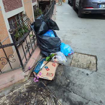 Kapı Önünden Çöp Toplanması Sağlığımızı Ve Çevremizi Tehdit Ediyor