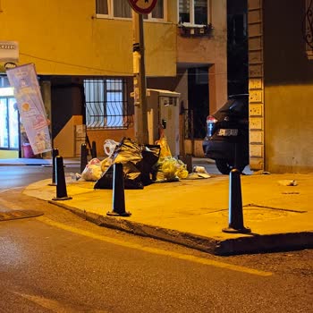 Kapı Önünden Çöp Toplanması Sağlığımızı Ve Çevremizi Tehdit Ediyor