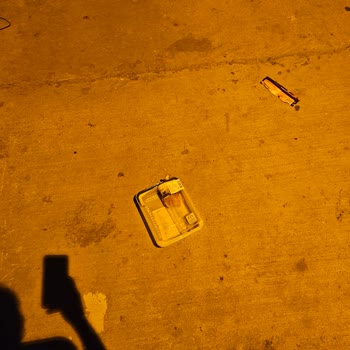 Kapı Önünden Çöp Toplanması Sağlığımızı Ve Çevremizi Tehdit Ediyor