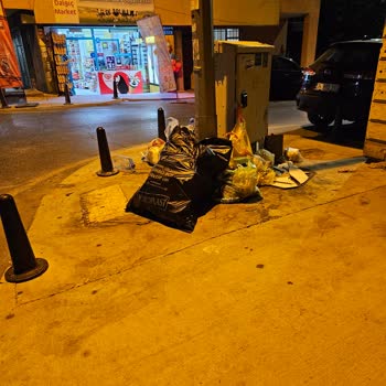 Kapı Önünden Çöp Toplanması Sağlığımızı Ve Çevremizi Tehdit Ediyor