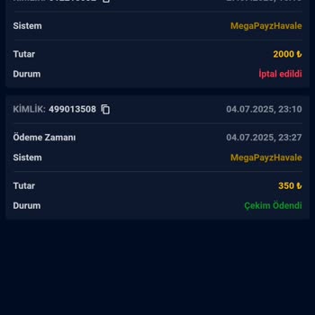Vbettr Hesabımdaki Para İzinsiz Kullanıldı ve Çekim Talebim İptal Edildi