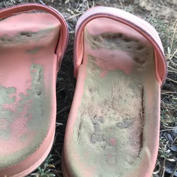 Adidas Terliğin Alt Kısmı Kısa Sürede Deforme Oldu