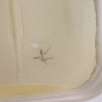 Aldığım Beyaz Peynirin Kalitesi Beklentimi Karşılamadı