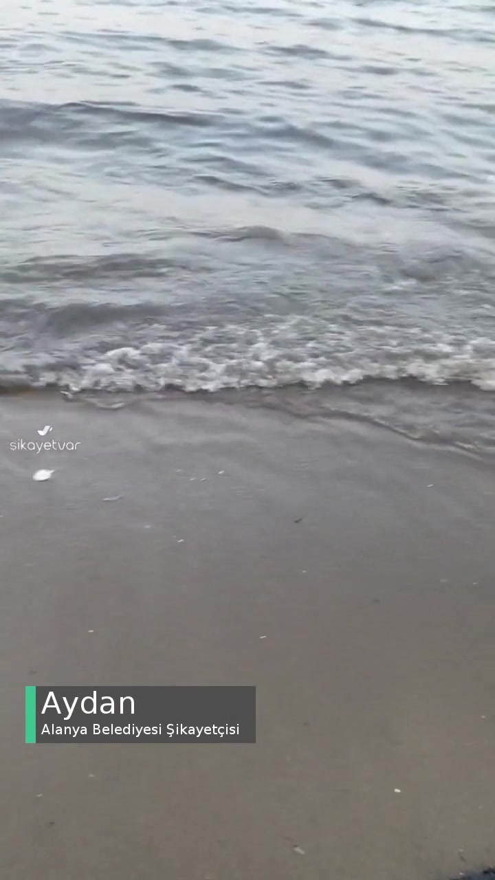 Alanya Belediyesi Temiz Bir Alanya Plajı Ve Denizi İçin... videonun kapak resmi