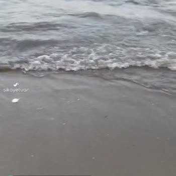 Alanya Belediyesi Temiz Bir Alanya Plajı Ve Denizi İçin...