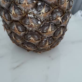 A101 Kapıda Siparişimde Çürük Ürünler İade Alınmadı Evimde Bekliyor