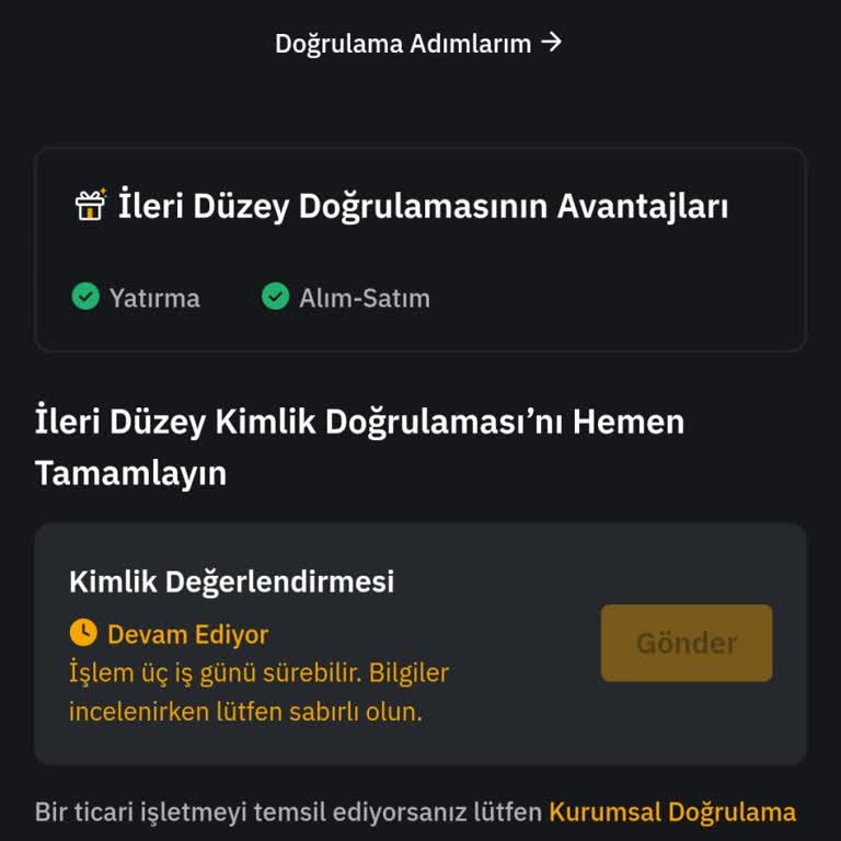Bybit TR De Kimlik Doğrulaması Sonrası Para İadesi Ve İşlem Gecikmesi Mağduriyeti