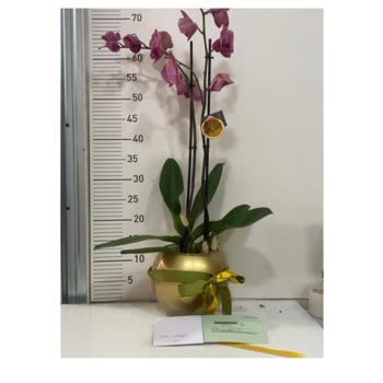 Sipariş Edilen Ve Teslim Edilen Çiçek Arasında Büyük Fark Yaşadım