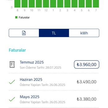 Elektrik Faturasında Devlet Desteği Ayrımcılığı