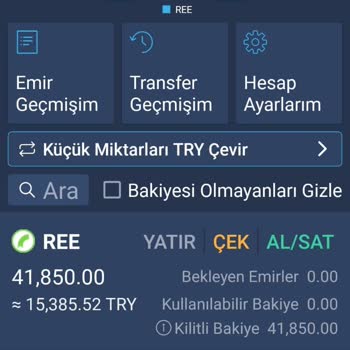 Ree Coin Bakiyem Aniden Sıfırlandı