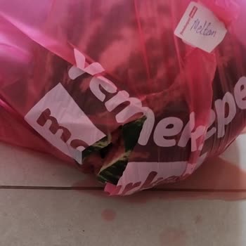 Yemeksepeti Market Ezilmiş Dondurma, Parçalanmış Karpuz Ve İlgisiz Müşteri Hizmetleriyle Mağduriyet