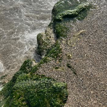 Hijyen Ve Hizmet Faciası: Otelde Yaşadığım Kâbus