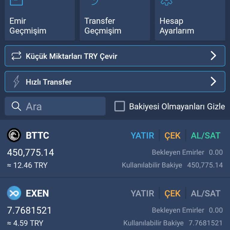 Bitexen'de Render Coinlerimin Silinmesi ve İletişim Sorunu