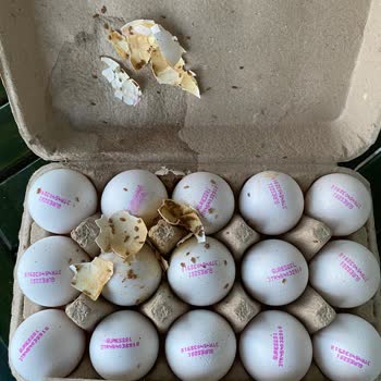 Küflü Ve Kurtlu Yumurta Skandalı: Migros Sorumsuzluğu