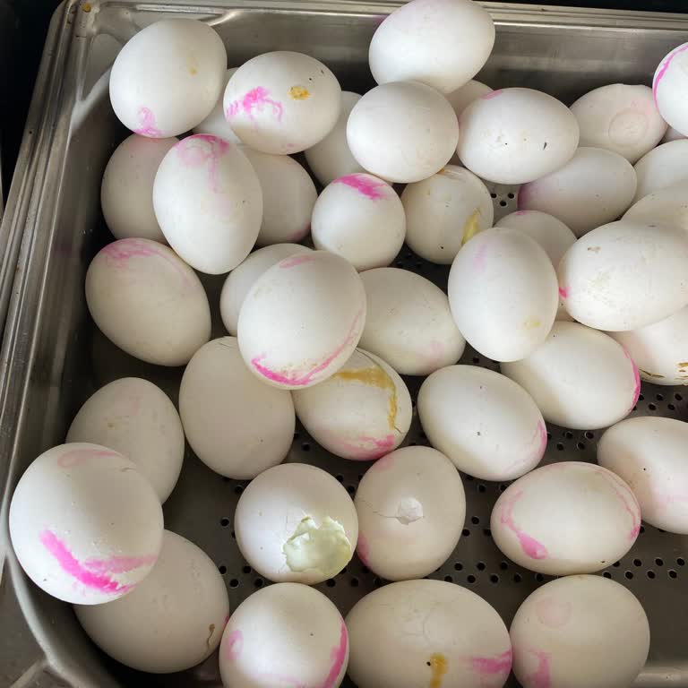 Yemeklerden Plaja Oteldeki Hizmetlere Kadar Büyük Hayal Kırıklığı