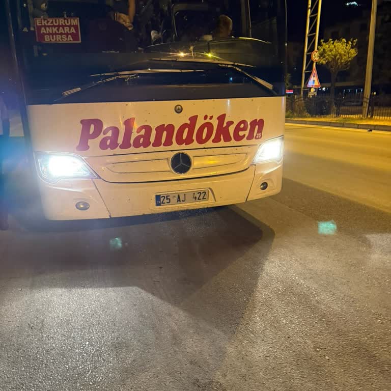 Koltuk Karmaşası, Gecikme Ve Kötü Hizmetle Yaşanan Mağduriyet