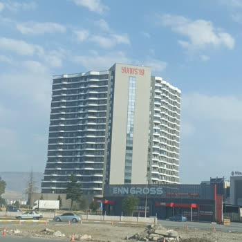 Çam Ağaçlarının Sökülmesi Çevreye Zarar Veriyor