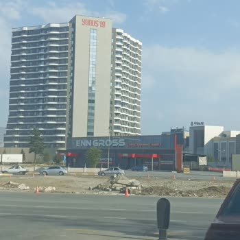 Çam Ağaçlarının Sökülmesi Çevreye Zarar Veriyor