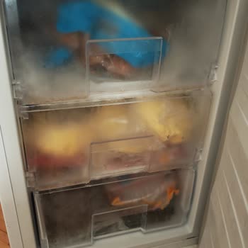 Elektrik Açılmıyor, Mağduriyetim Artıyor Ve Kimse Bilgi Vermiyor