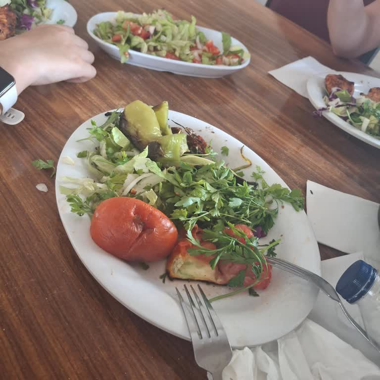 Mirkelam Tesisleri Birecik Şikayeti