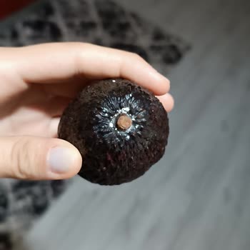 Migros Sanal Marketten Küflü Avokado Gönderildi Müşteri Mağdur Edildi