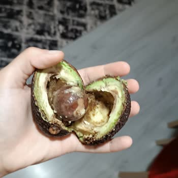 Migros Sanal Marketten Küflü Avokado Gönderildi Müşteri Mağdur Edildi