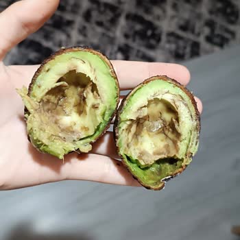 Migros Sanal Marketten Küflü Avokado Gönderildi Müşteri Mağdur Edildi