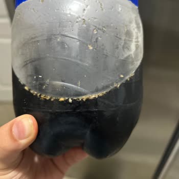 Pepsi Ürününde Yabancı Madde Ve Sağlık Sorunu