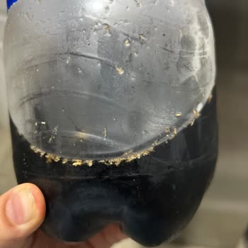 Pepsi Ürününde Yabancı Madde Ve Sağlık Sorunu