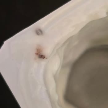 Activia Yoğurdun İçinden Çıkan Yabancı Madde Şoku