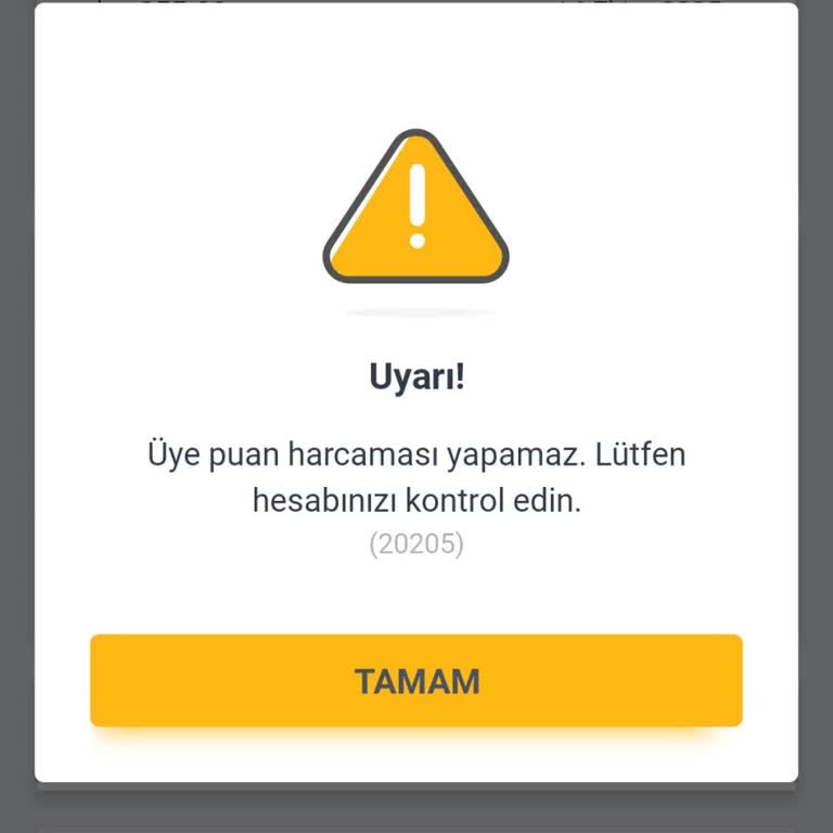 Hesabımda Puan Harcama Uyarısı Ve Oyun Oynama Sorunu Yaşıyorum