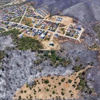 Hotels.com Sent Me to a Burnt Area and Don't Care My Issue