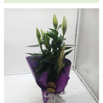 Siparişim Görsele Uygun Olmadan Yanlış Teslim Edildi