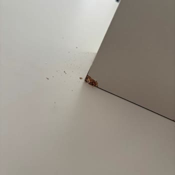 Devirsan Büro Mobilyaları Paketleme Kötü Olduğundan Ürünler Kötü Halde