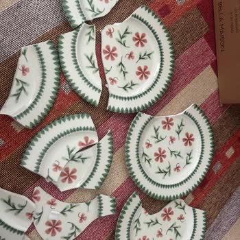 Kırık Gelen Tabaklar İçin Destek Alamıyorum: Müşteri Hizmetlerine Ulaşamıyorum