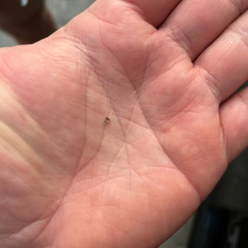 BMW Seyir Halindeyken Sunroof Camı Patladı Yolcu Yaralandı