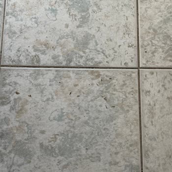 Mert Seaside Otel Hayal Kırıklığı Ve Hijyen Sorunlarıyla Dolu Bir Konaklama Deneyimi!