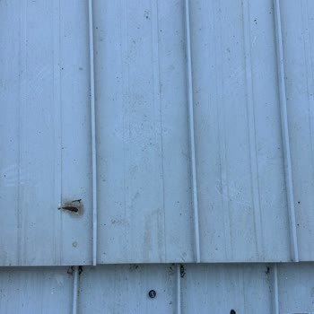 Gezinomi'nin Yanlış Yönlendirmesiyle Tatil Mağduriyeti Ve Yetersiz Çözüm