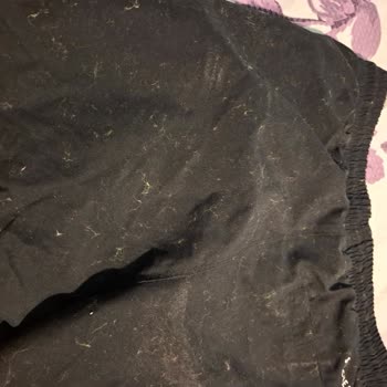 Skechers Deniz Şortunda Hızlı Tüylenme Ve Toz Toplanması Sorunu