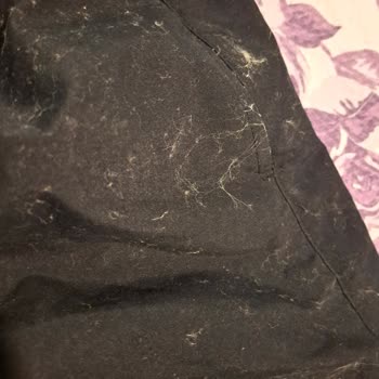 Skechers Deniz Şortunda Hızlı Tüylenme Ve Toz Toplanması Sorunu