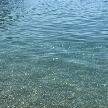 Ören Yalı Sahilinde Tekne Atıkları Ve Sağlık Riski