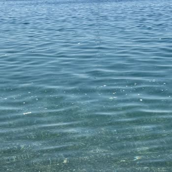 Ören Yalı Sahilinde Tekne Atıkları Ve Sağlık Riski