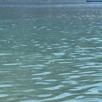 Ören Yalı Sahilinde Tekne Atıkları Ve Sağlık Riski