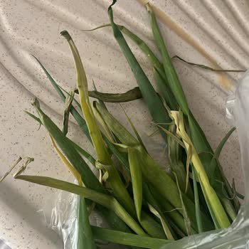 A101 Kapıda Siparişlerinde Sürekli Eksik Ve Hatalı Ürün Sorunu