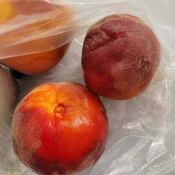 Çürük Meyve-Sebze Teslimatı Ve Haksız İade Reddi