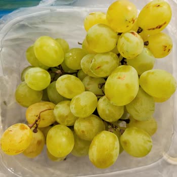 Çürük Meyve-Sebze Teslimatı Ve Haksız İade Reddi