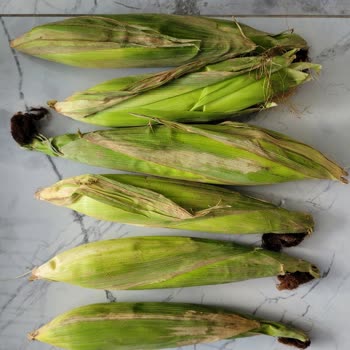 Çürük Meyve-Sebze Teslimatı Ve Haksız İade Reddi