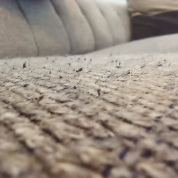 Satışta Verilen Sözler Tutulmadı: Koltuk Takımında Garantiye Rağmen Tüylenme Sorunu