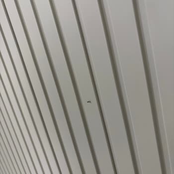 Evde Yapılan İşçilikte Sorunlar Ve İlgisizlik